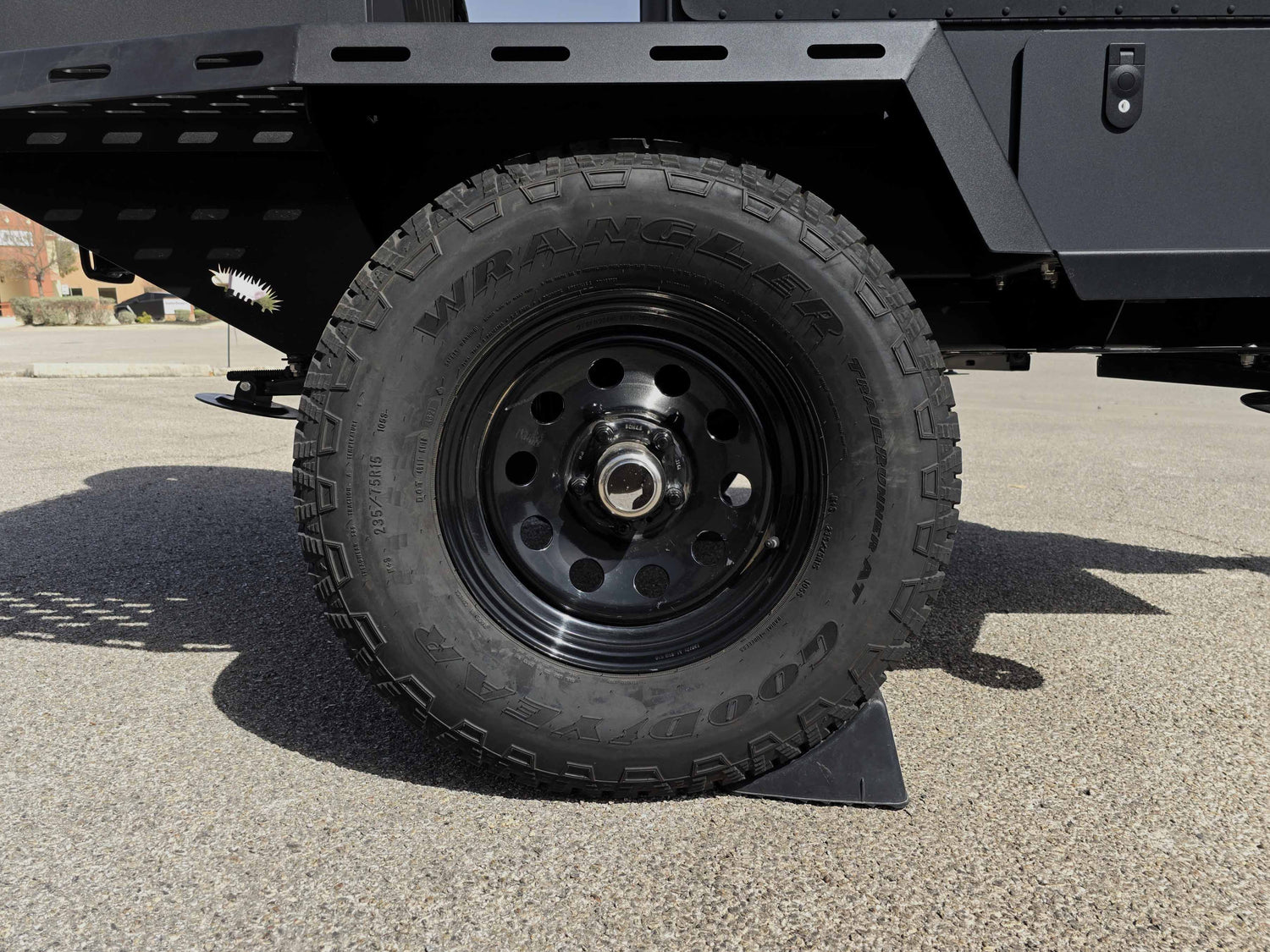 2025 Woolly Bear Standard