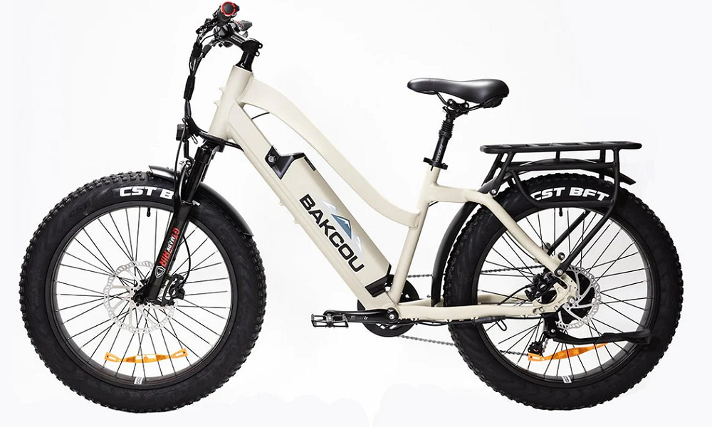Bakcou Flatlander ST 24 E-Bike For Sale In San Antonio, TX - Hawkes Outdoors