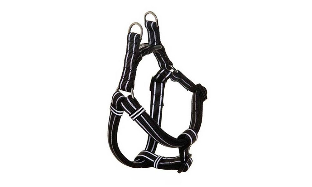 DOOG Reflective Stripe Harness