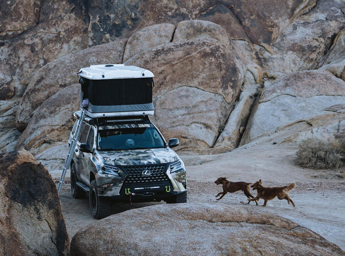 Image of a Lexus SUV with a rooftop tent in nature
