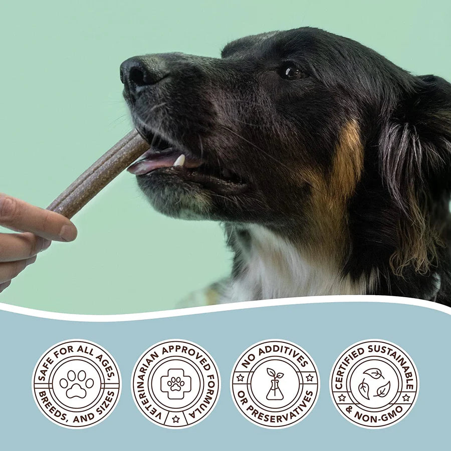 Natural Dog Dental Treats