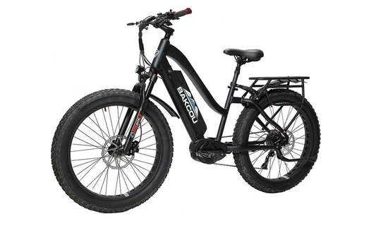 Bakcou Step-Through (ST) 24" 电动自行车在德克萨斯州圣安东尼奥出售