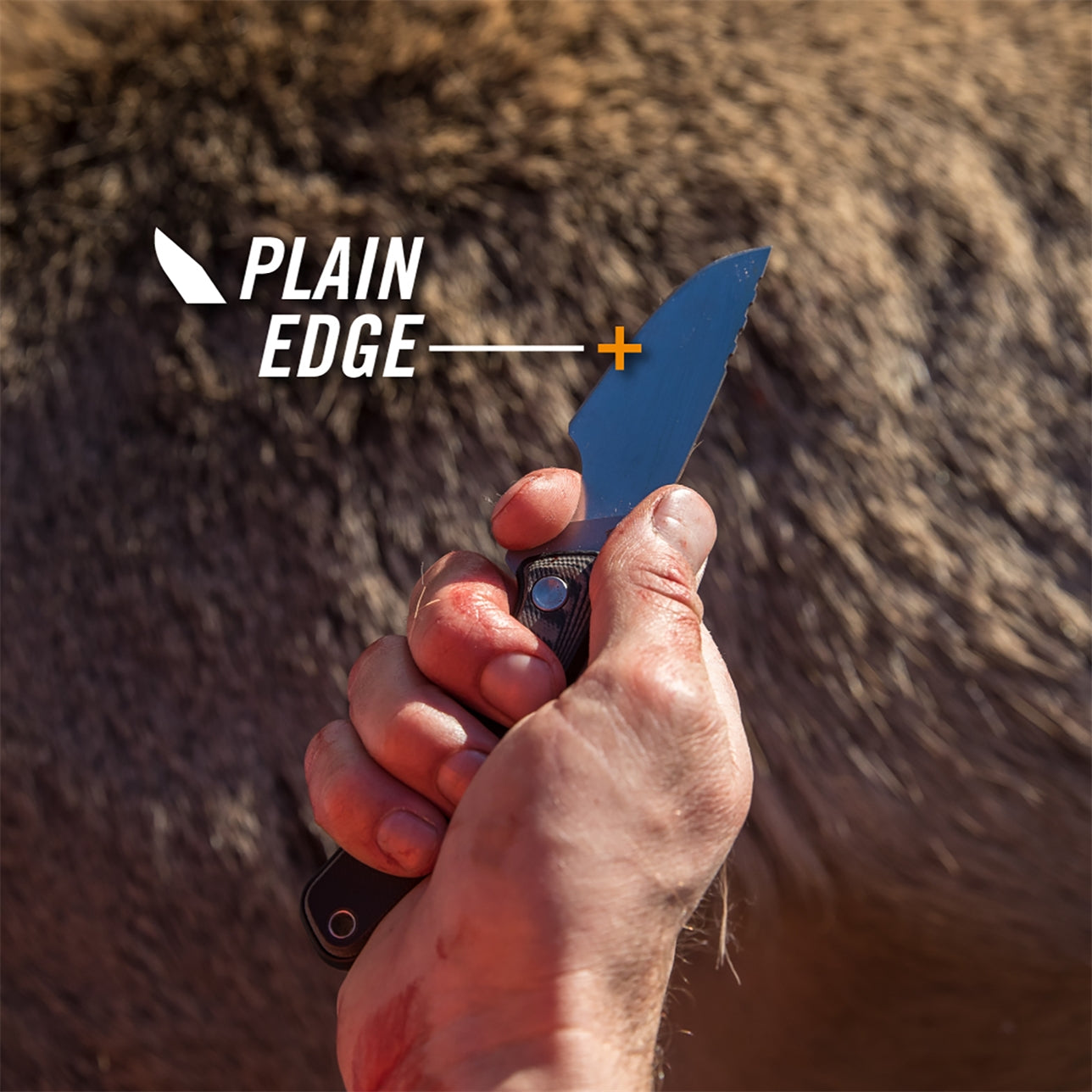 gerber downwind fixed blade knife for sale in shertz cibolo texas at hawkes outdoors 2102512882