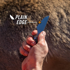 gerber downwind fixed blade knife for sale in shertz cibolo texas at hawkes outdoors 2102512882