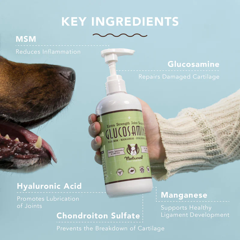 A closer look at Auto-Immune Friendly Glucosamine Dog Food Family Complete