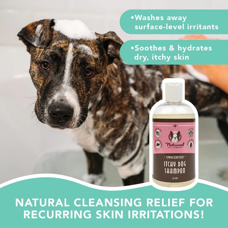 natural dog co itchy dog shampoo for sale near mcallen donna, texas at hawkes outdoors 210-251-2882
