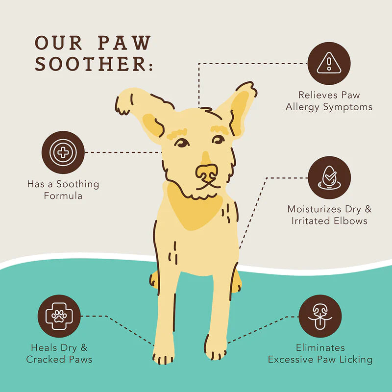 natural dog company paw soother sav for sale near austin dallas houston, texas at hawkes outdoors 210-251-2882